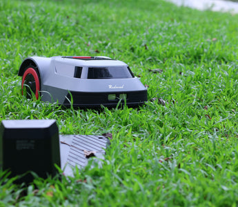 How to Choose the Right Robotic Lawn Mower? Here’s What You Need to Consider